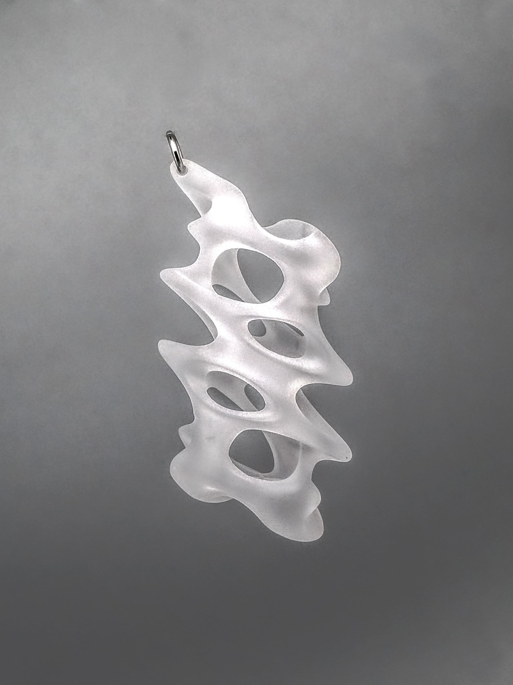 BONE Lighter Case