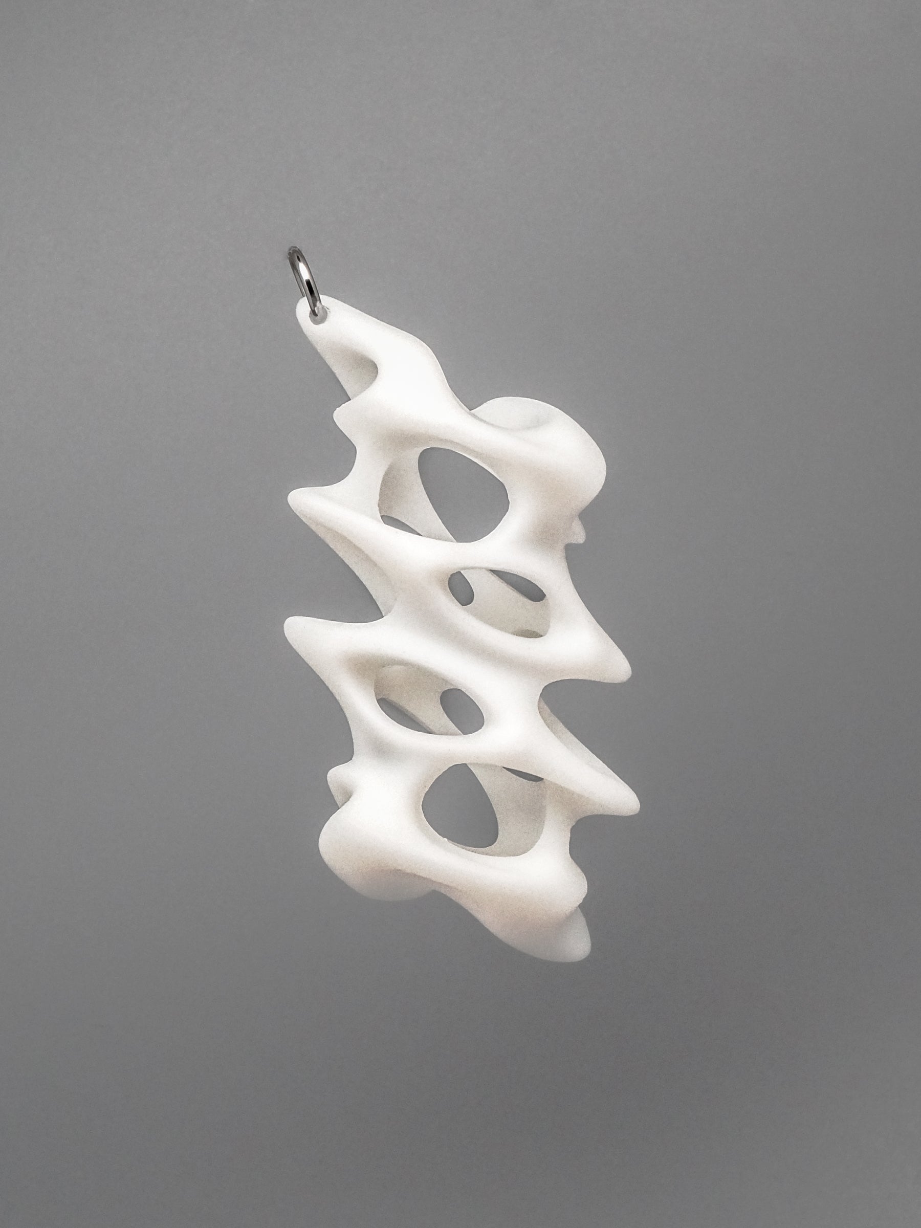 BONE Lighter Case