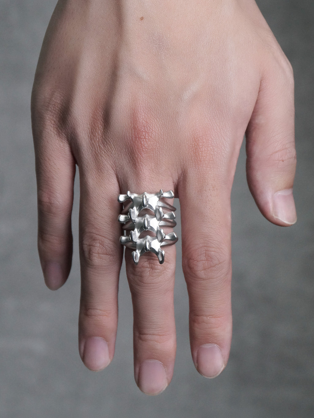 Mechanical Spine Ring