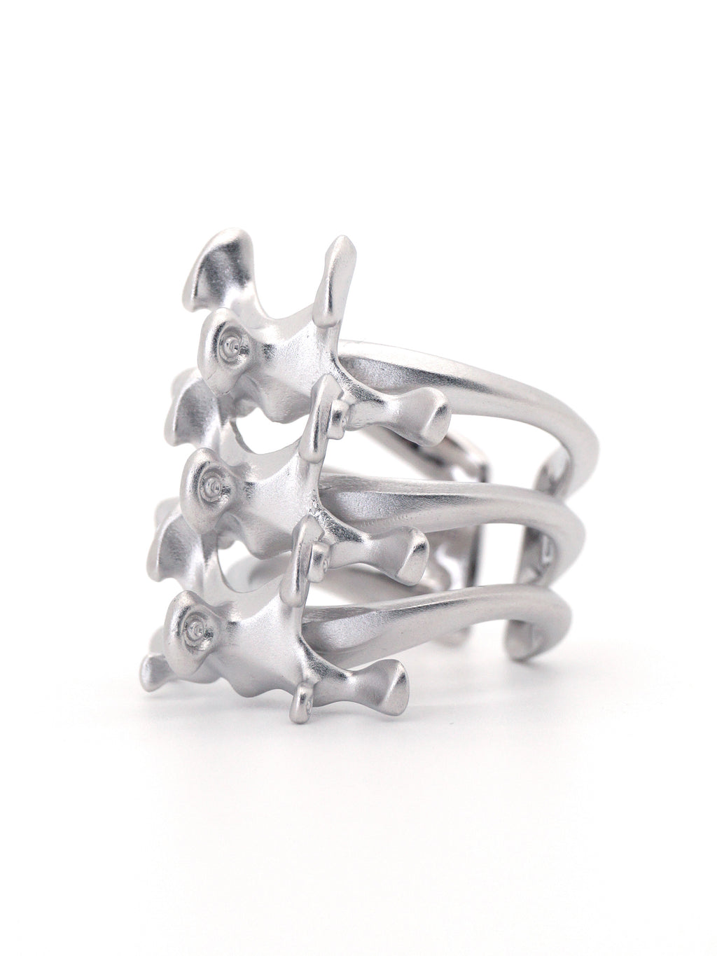 Mechanical Spine Ring