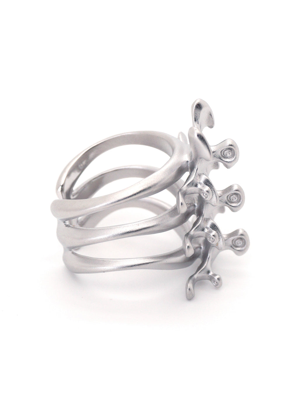 Mechanical Spine Ring