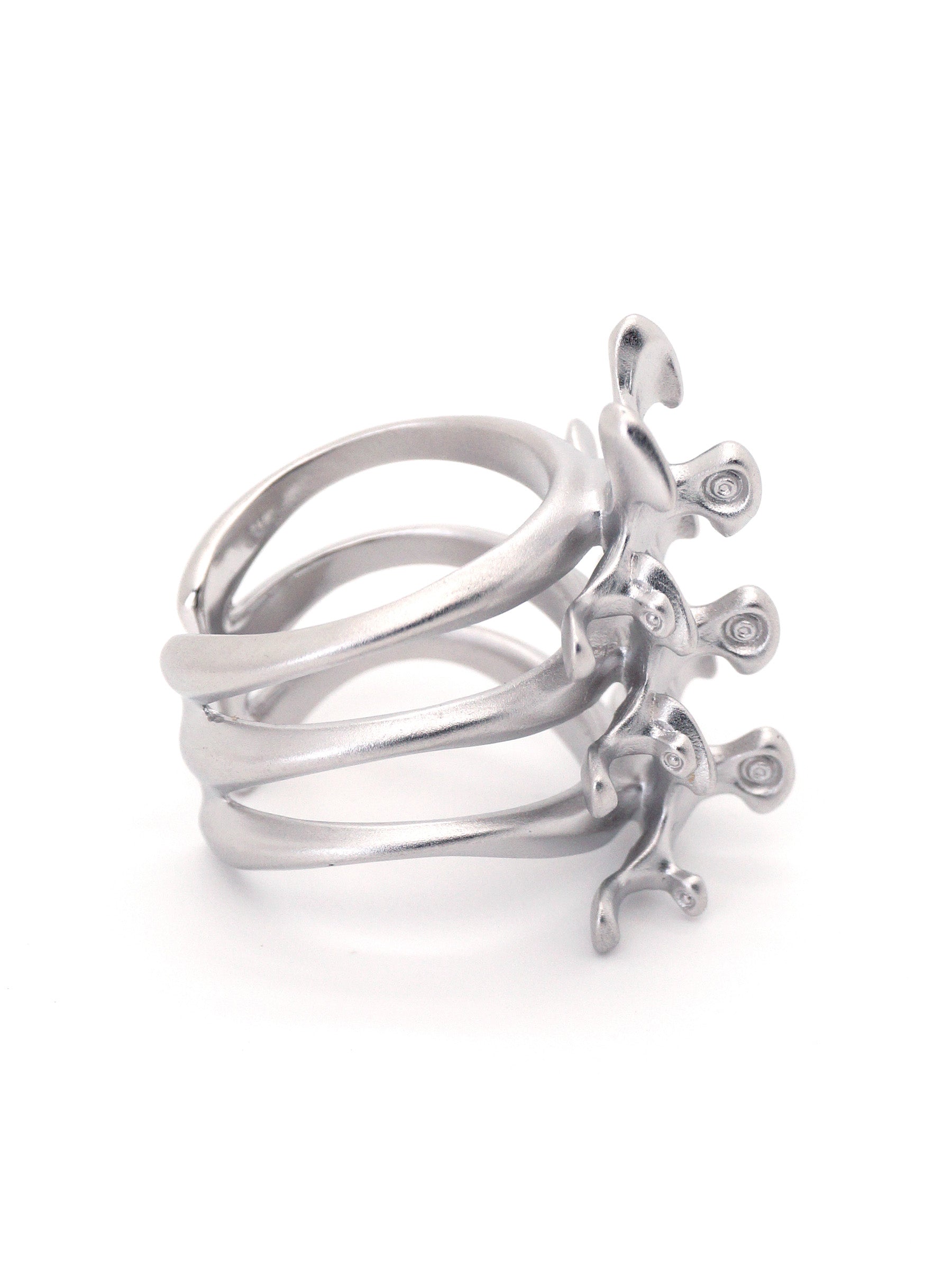Mechanical Spine Ring
