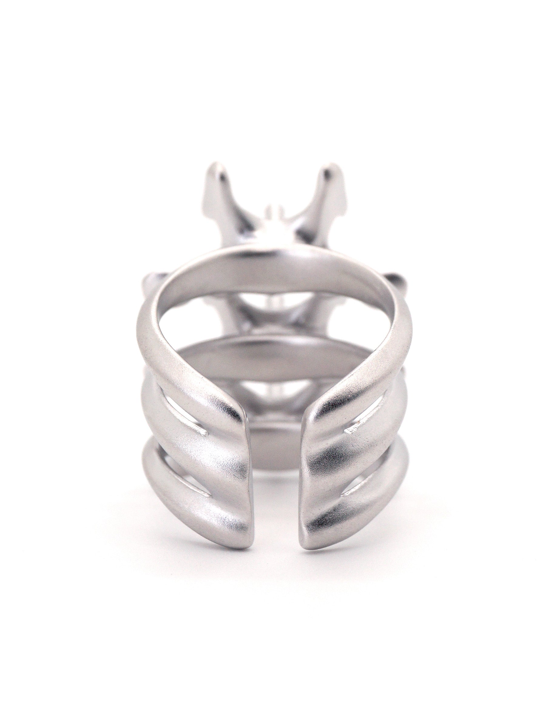 Mechanical Spine Ring