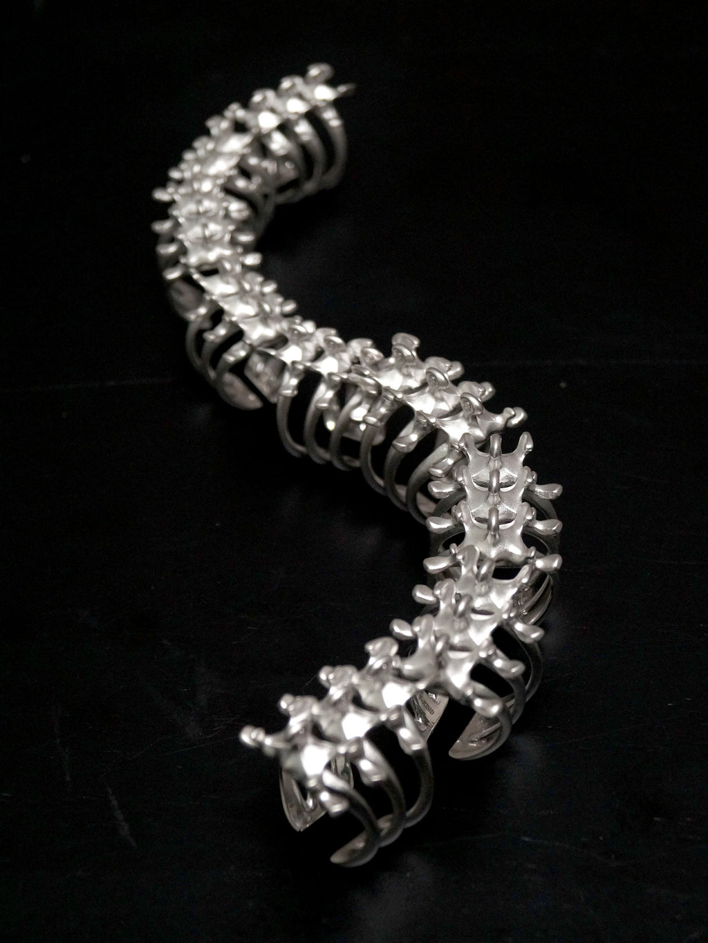 Mechanical Spine Ring