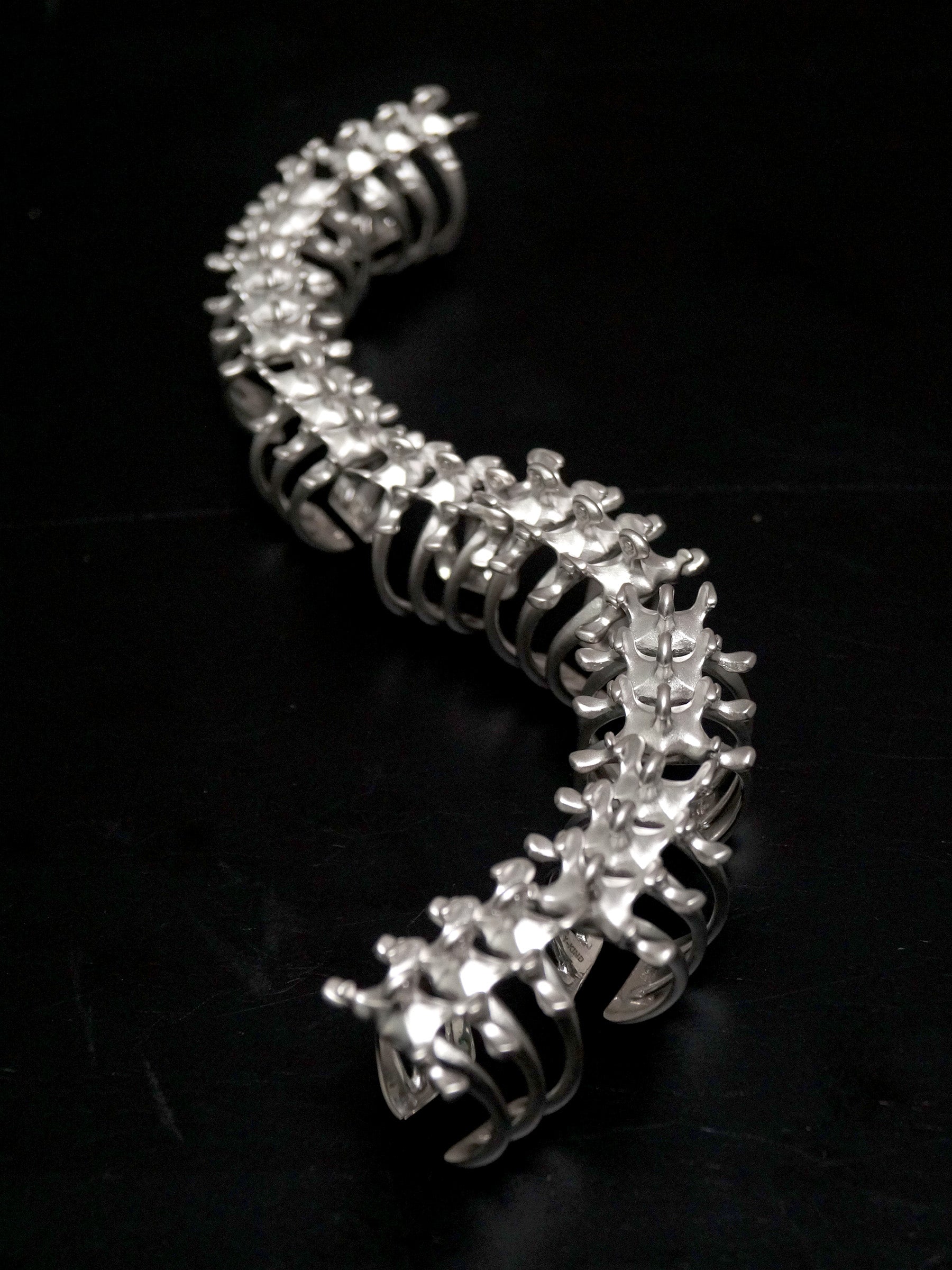 Mechanical Spine Ring